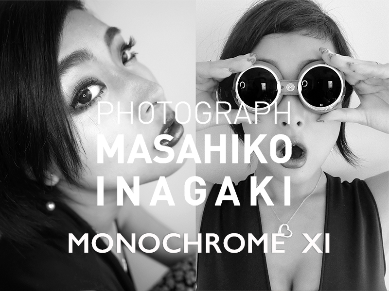 monochrome XI 展