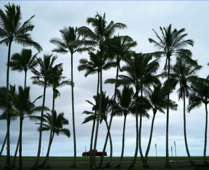 ライカとハッセルブラッドをぶら下げて